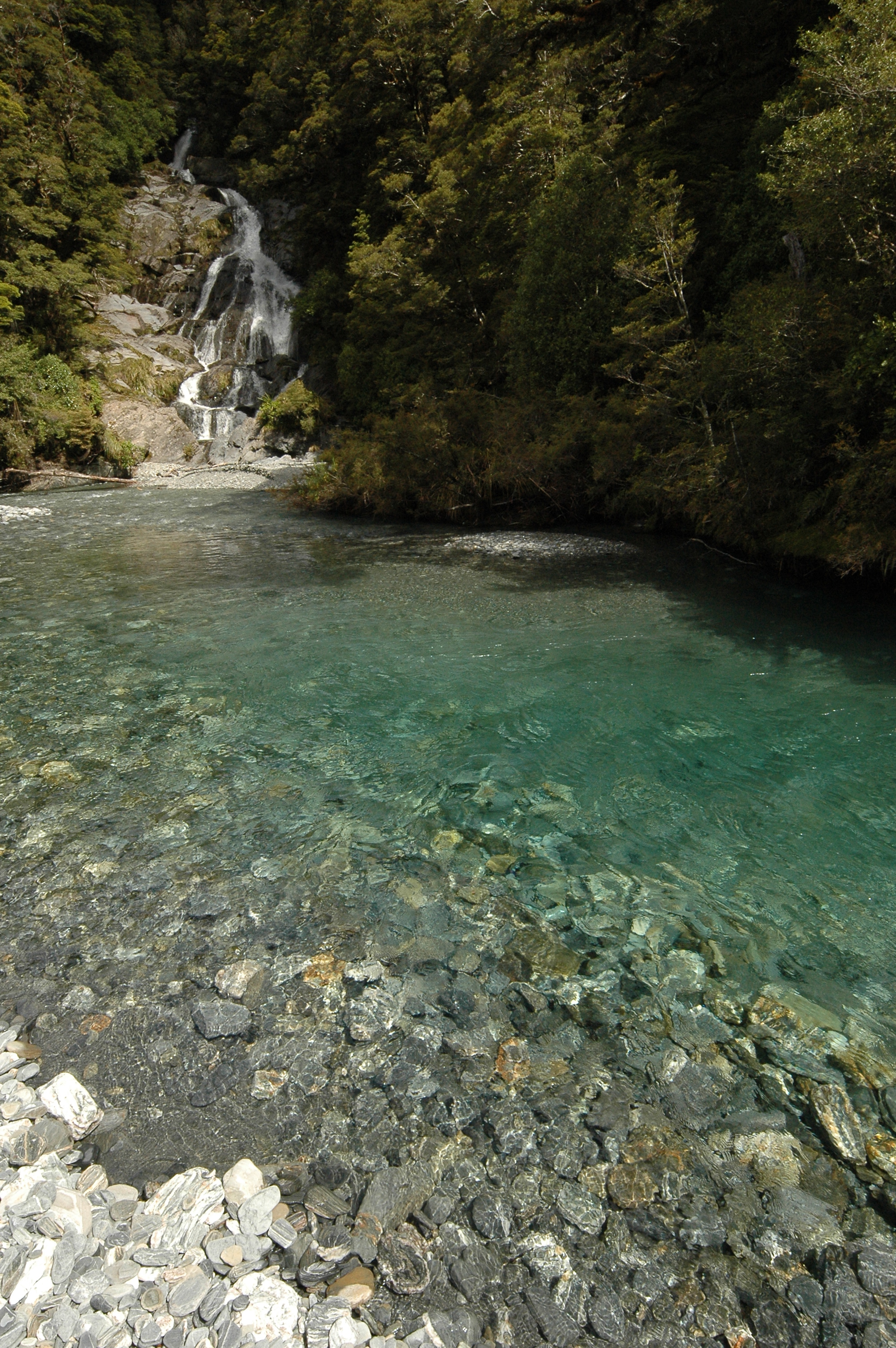 Some mysterious pond somewhere in NZ