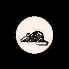 15. Armadillo