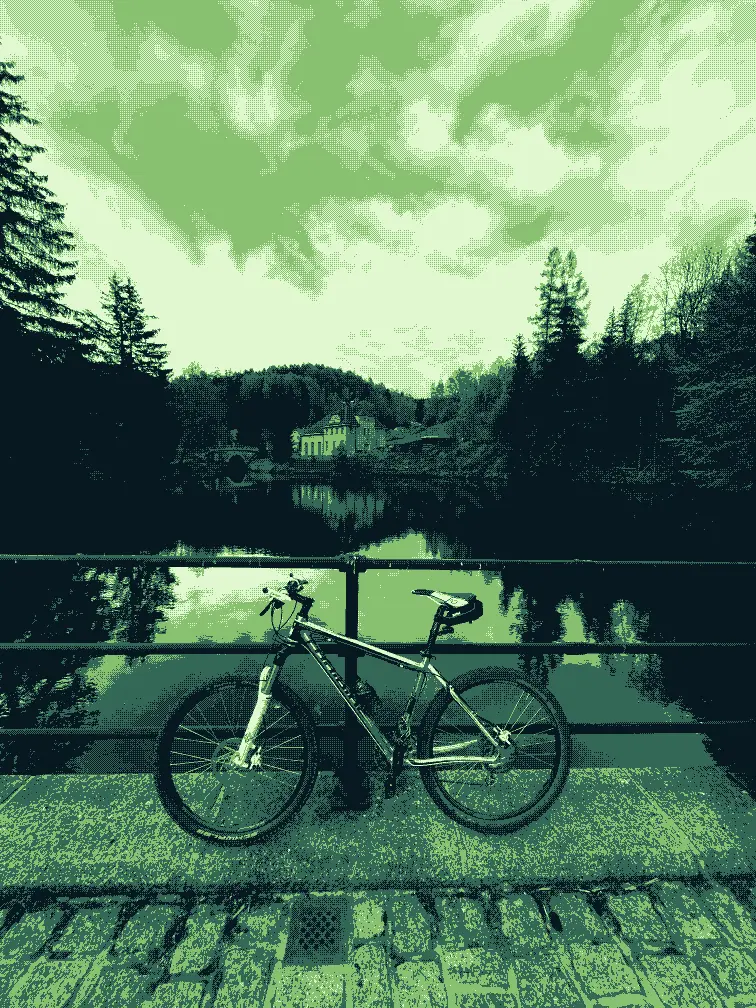 Forever Young Bike
